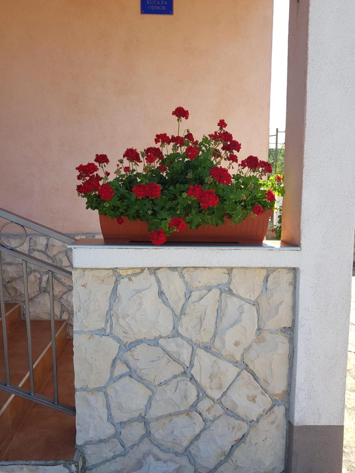 Holiday Home Nada سالي المظهر الخارجي الصورة